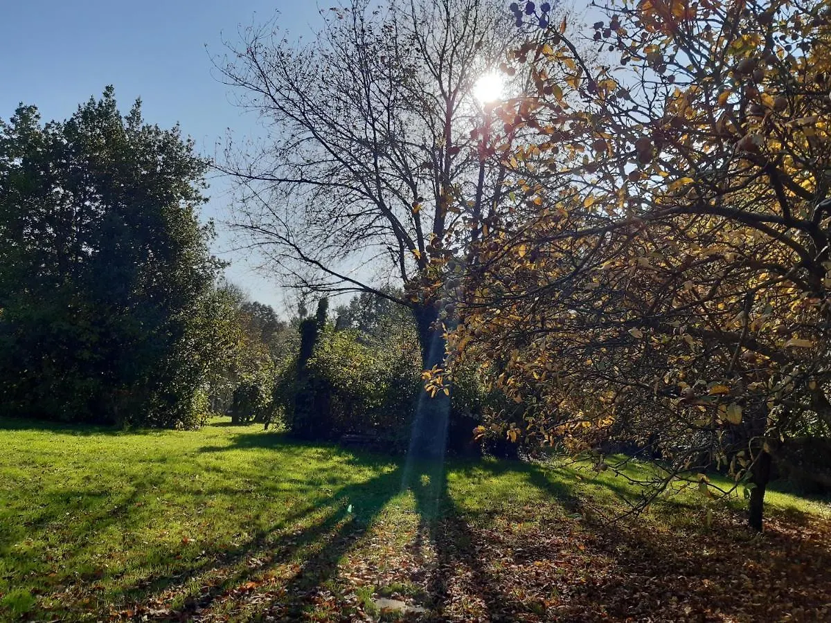 Broceliande-Les Nefliers Bed & Breakfast Mauron France
